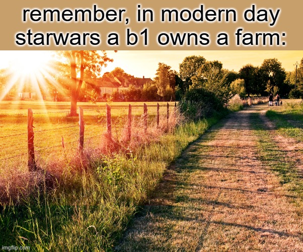 Country | remember, in modern day starwars a b1 owns a farm: | image tagged in country,b1 | made w/ Imgflip meme maker