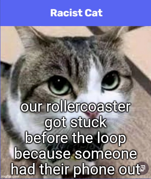 viper six flags | our rollercoaster got stuck before the loop because someone had their phone out | image tagged in racist cat | made w/ Imgflip meme maker