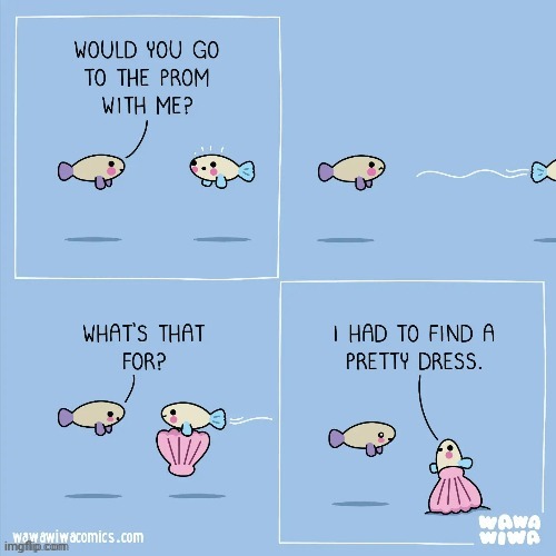 The prom | image tagged in prom,shell,dress,fish,comics,comics/cartoons | made w/ Imgflip meme maker