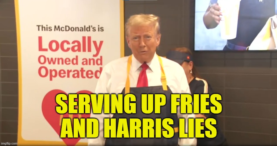 Would you like Kamala Harris Lies with that? | SERVING UP FRIES
AND HARRIS LIES | image tagged in kamala harris,vice president,maga,make america great again,mcdonalds,french fries | made w/ Imgflip meme maker