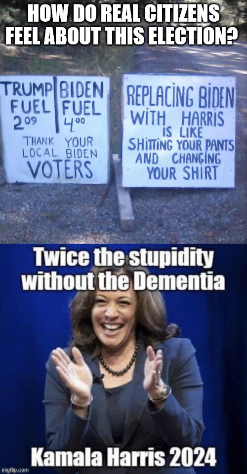 Kamala Harris - Twice the stupidity without the dementia | HOW DO REAL CITIZENS FEEL ABOUT THIS ELECTION? | image tagged in kamala harris,unfit for the job | made w/ Imgflip meme maker