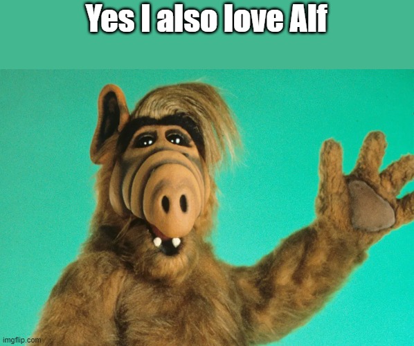 Honestly he is a kind and interesting character | Yes I also love Alf | made w/ Imgflip meme maker