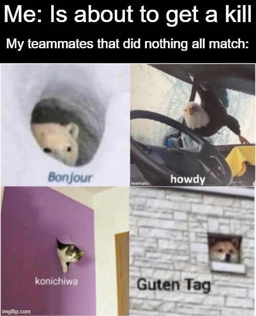 Assist: 99.9999999%    Kill: 0.000001% | Me: Is about to get a kill; My teammates that did nothing all match: | image tagged in bonjour guten tag,relatable | made w/ Imgflip meme maker