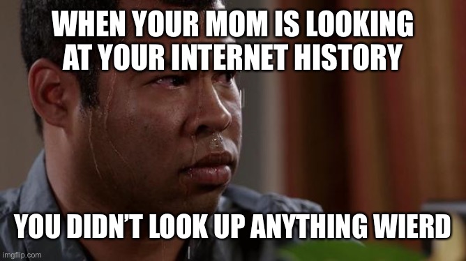 sweating bullets | WHEN YOUR MOM IS LOOKING AT YOUR INTERNET HISTORY; YOU DIDN’T LOOK UP ANYTHING WIERD | image tagged in sweating bullets | made w/ Imgflip meme maker