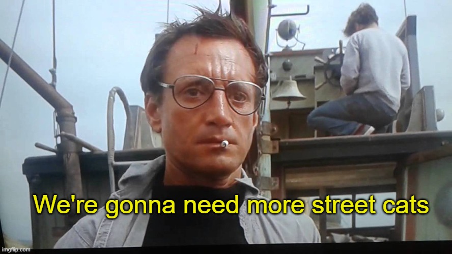 We're gonna need a bigger boat | We're gonna need more street cats | image tagged in we're gonna need a bigger boat | made w/ Imgflip meme maker