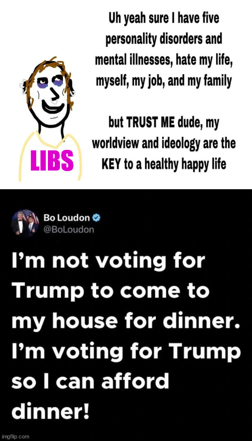 Never vote for insanity... It's the economy stupid. | LIBS | image tagged in insane  libs,take marching orders,from dnc media | made w/ Imgflip meme maker