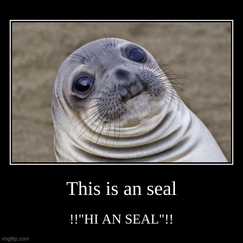 crazy | This is an seal | !!"HI AN SEAL"!! | image tagged in funny,demotivationals | made w/ Imgflip demotivational maker