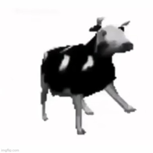 polish cow | image tagged in polish cow | made w/ Imgflip meme maker