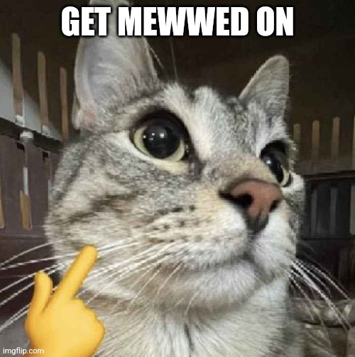 Mewing Cat | GET MEWWED ON | image tagged in mewing cat | made w/ Imgflip meme maker