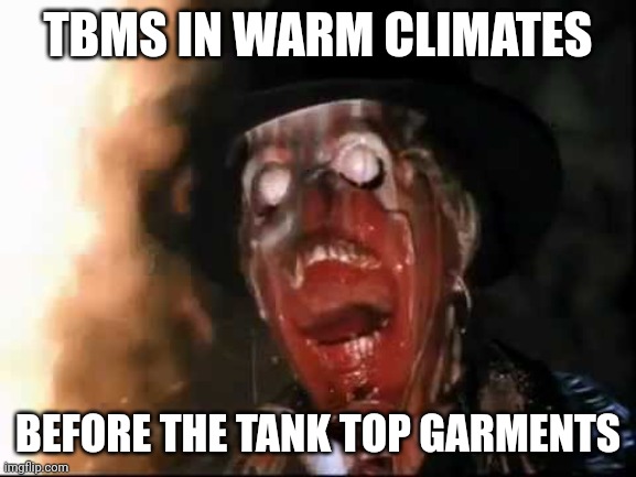 Melting Mormons | TBMS IN WARM CLIMATES; BEFORE THE TANK TOP GARMENTS | image tagged in ark of the covenant face melt | made w/ Imgflip meme maker