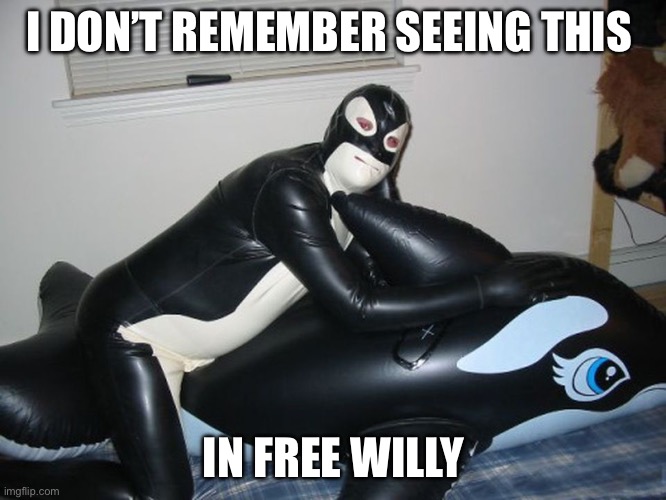 Free Willy | I DON’T REMEMBER SEEING THIS; IN FREE WILLY | image tagged in free willy orca porn atheist,funny | made w/ Imgflip meme maker