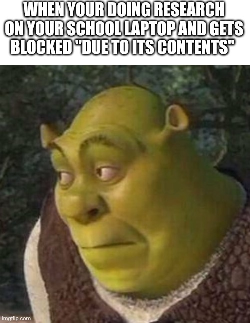 Shrek | WHEN YOUR DOING RESEARCH ON YOUR SCHOOL LAPTOP AND GETS BLOCKED "DUE TO ITS CONTENTS" | image tagged in shrek | made w/ Imgflip meme maker