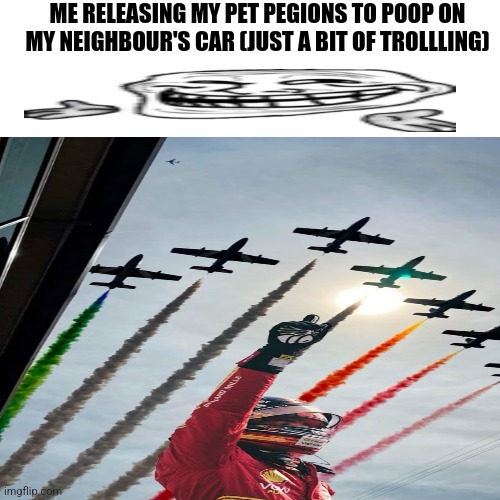 Forza aero | ME RELEASING MY PET PEGIONS TO POOP ON MY NEIGHBOUR'S CAR (JUST A BIT OF TROLLLING) | image tagged in blank,ferrari,formula 1,troll face | made w/ Imgflip meme maker