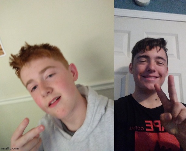 Dual face reveal (Yesbecauseyes left, me on the right. He seemed nervous and I decided to back him up.) | image tagged in yesbecauseyes is actually kinda cute,mods,agreed | made w/ Imgflip meme maker