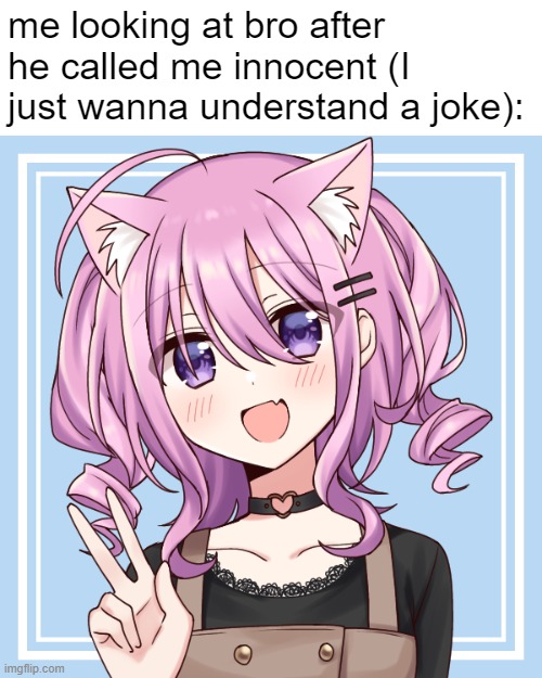 Cat girl UwU | me looking at bro after he called me innocent (I just wanna understand a joke): | image tagged in cat girl uwu,frost | made w/ Imgflip meme maker