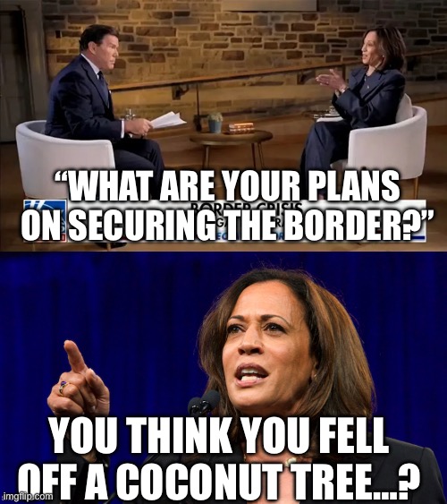 Coconut tree | “WHAT ARE YOUR PLANS ON SECURING THE BORDER?”; YOU THINK YOU FELL OFF A COCONUT TREE…? | image tagged in bret baier kamala interview,kamala harris,democrats,politics | made w/ Imgflip meme maker