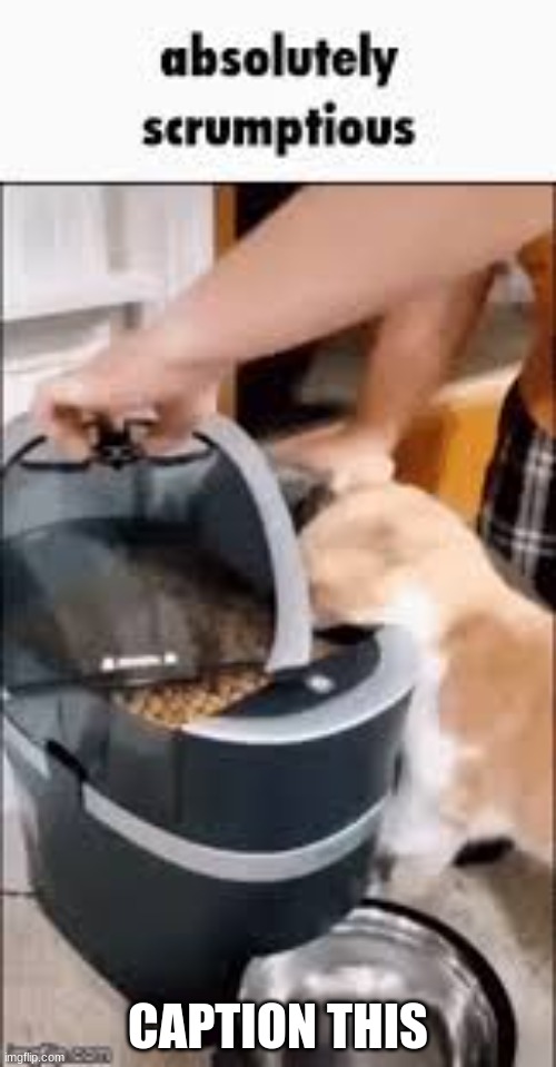 absolutely scrumptious | CAPTION THIS | image tagged in absolutely scrumptious | made w/ Imgflip meme maker