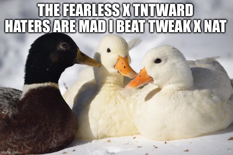 Dunkin Ducks | THE FEARLESS X TNTWARD HATERS ARE MAD I BEAT TWEAK X NAT | image tagged in dunkin ducks | made w/ Imgflip meme maker