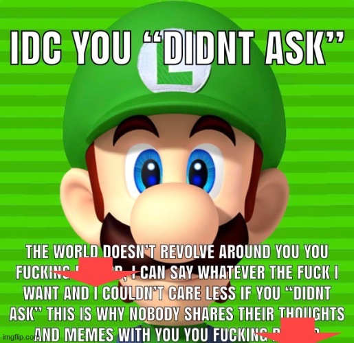 Idc you “didn’t ask” Luigi | image tagged in idc you didn t ask luigi | made w/ Imgflip meme maker