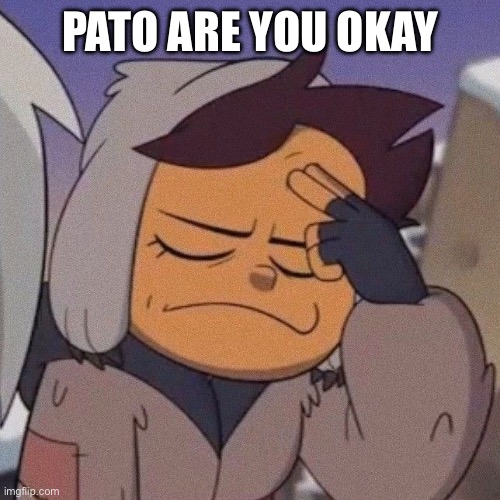 luz | PATO ARE YOU OKAY | image tagged in wtf | made w/ Imgflip meme maker