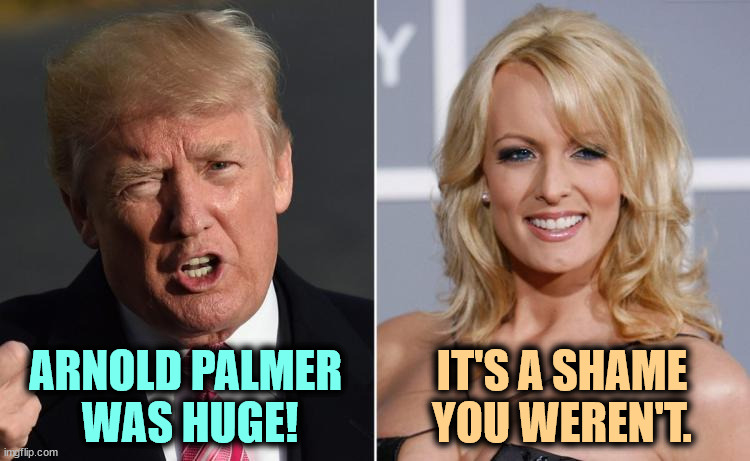 A mushroom? That tiny hands problem. | IT'S A SHAME YOU WEREN'T. ARNOLD PALMER 
WAS HUGE! | image tagged in trump stormy daniels,arnold palmer,stormy daniels,trump | made w/ Imgflip meme maker