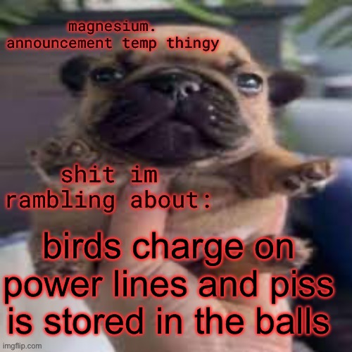 chat, is this 1984? | birds charge on power lines and piss is stored in the balls | image tagged in pug temp | made w/ Imgflip meme maker