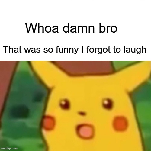 Whoa damn bro That was so funny I forgot to laugh | image tagged in memes,surprised pikachu | made w/ Imgflip meme maker