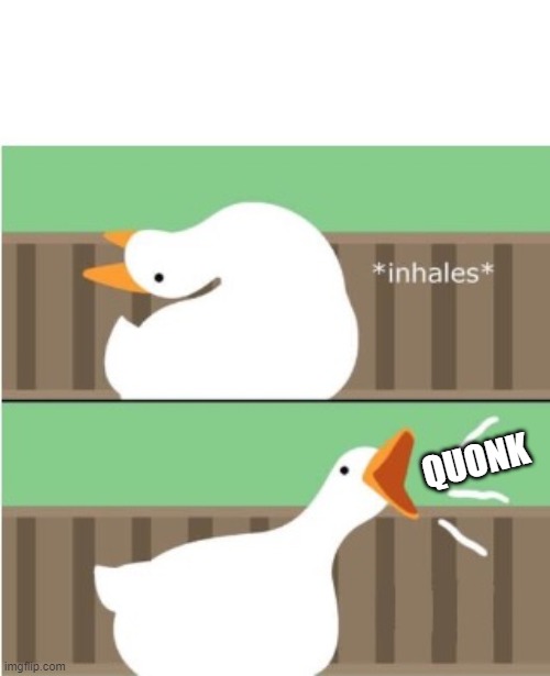 Untitled goose game honk | QUONK | image tagged in untitled goose game honk | made w/ Imgflip meme maker