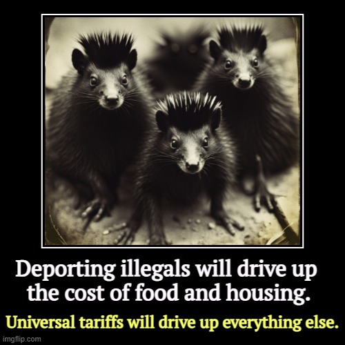 Things aren't expensive enough for you? | Deporting illegals will drive up 
the cost of food and housing. | Universal tariffs will drive up everything else. | image tagged in funny,demotivationals,trump,deportation,tariffs,cost of living | made w/ Imgflip demotivational maker