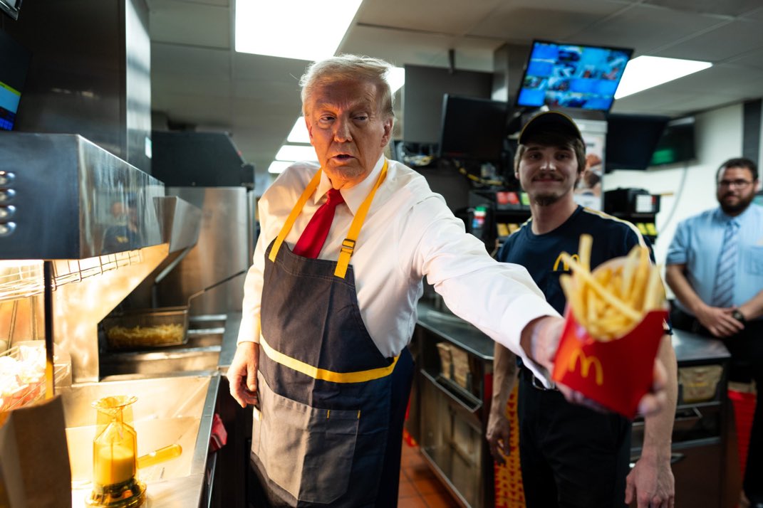 TRUMP FRIES Blank Meme Template