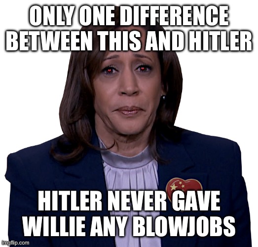 KAMALA SADLY MOPES | ONLY ONE DIFFERENCE BETWEEN THIS AND HITLER; HITLER NEVER GAVE WILLIE ANY BLOWJOBS | image tagged in kamala sadly mopes | made w/ Imgflip meme maker