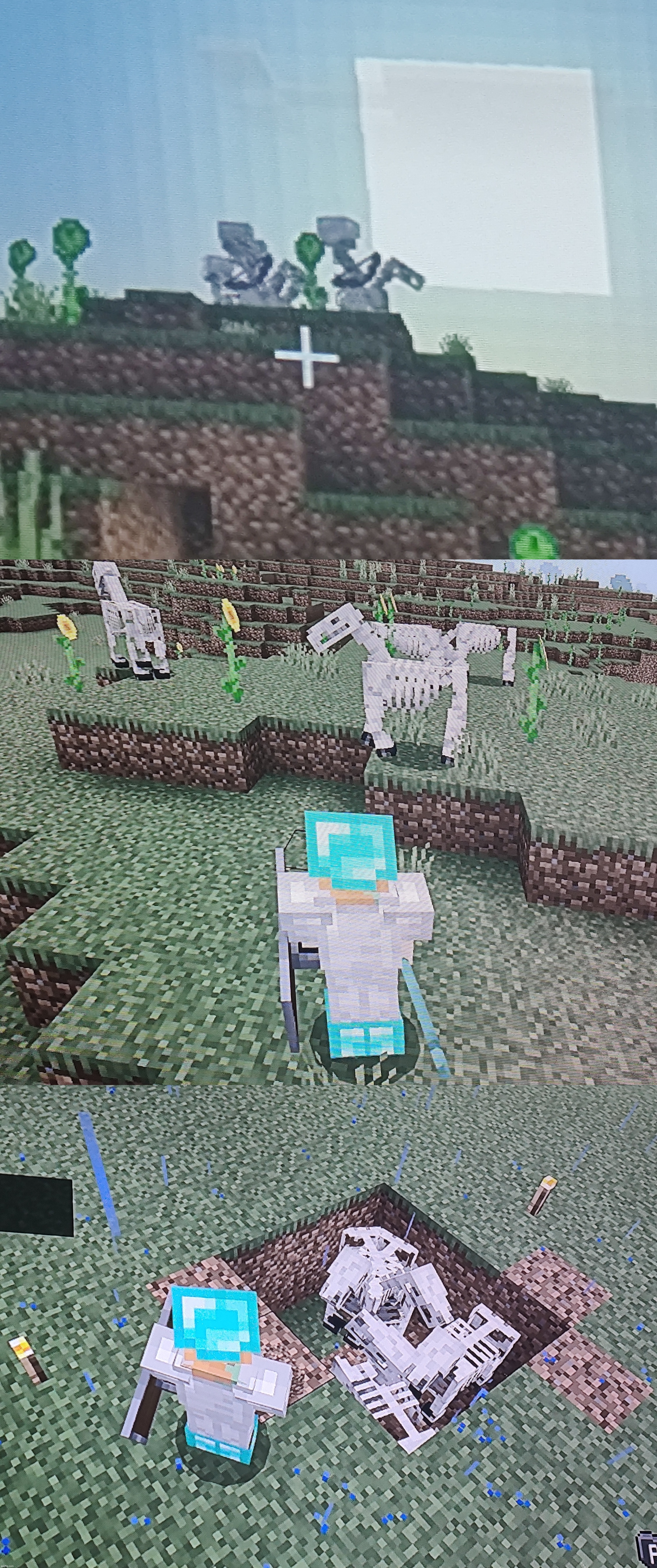 One rare thing after another, somehow I managed to save all four skeleton horses after they spawned RIGHT above me | made w/ Imgflip meme maker