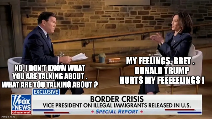 Bret Baier Kamala Interview | NO, I DON'T KNOW WHAT YOU ARE TALKING ABOUT .
WHAT ARE YOU TALKING ABOUT ? MY FEELINGS, BRET .  
DONALD TRUMP HURTS MY FEEEEELINGS ! | image tagged in bret baier kamala interview | made w/ Imgflip meme maker