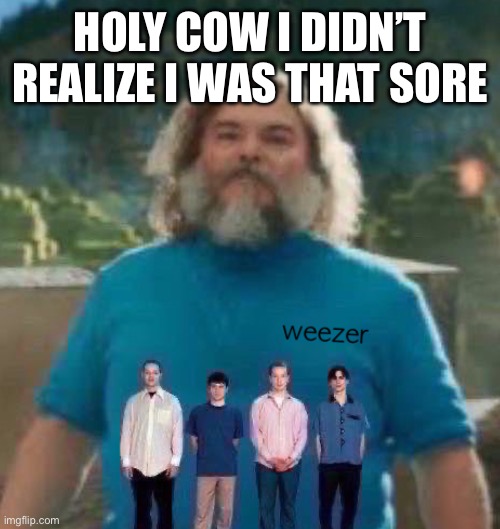 I am Steve weezer | HOLY COW I DIDN’T REALIZE I WAS THAT SORE | image tagged in i am steve weezer | made w/ Imgflip meme maker