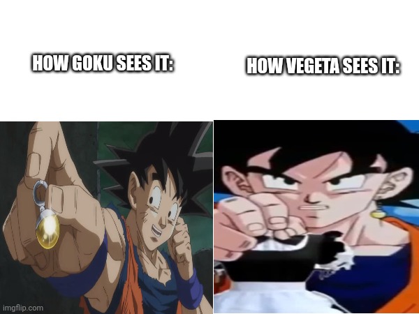 HOW GOKU SEES IT:; HOW VEGETA SEES IT: | made w/ Imgflip meme maker