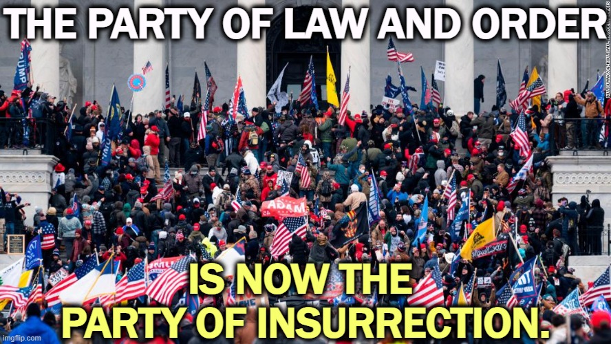 Right wing domestic terrorism has the president-elect's blessing. | THE PARTY OF LAW AND ORDER; IS NOW THE 
PARTY OF INSURRECTION. | image tagged in election interference trump-style capitol riot insurrection,republicans,law and order,insurrection,terrorism,vigilantism | made w/ Imgflip meme maker