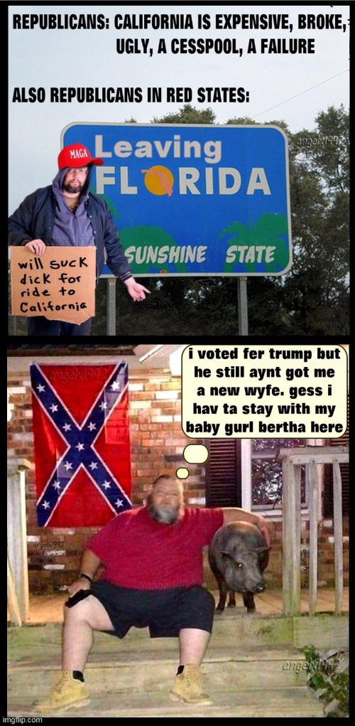 red states | image tagged in maga,donald trump is an idiot,clown car republicans,confederate flag,florida,california | made w/ Imgflip meme maker
