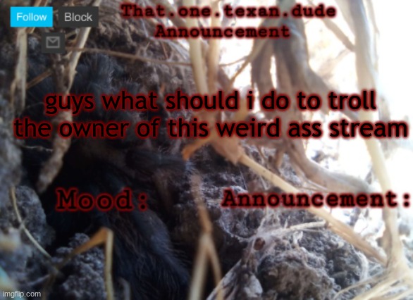 THE that.one.texan.dude announcement template | guys what should i do to troll the owner of this weird ass stream | image tagged in the that one texan dude announcement template | made w/ Imgflip meme maker