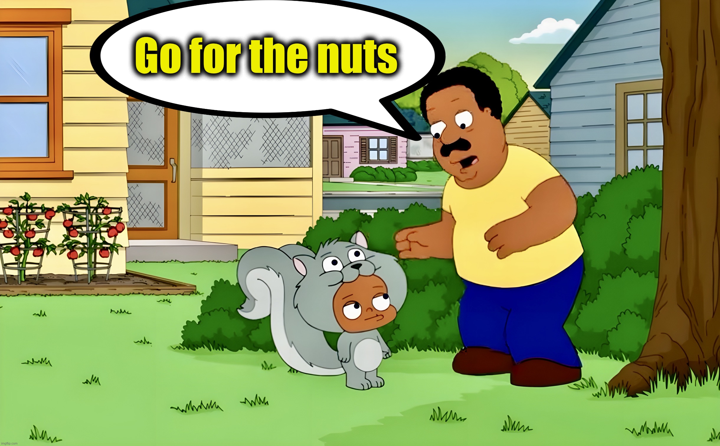 Family Guy | Go for the nuts | image tagged in squirrel,cleveland,family guy,memes,cartoon,furry | made w/ Imgflip meme maker