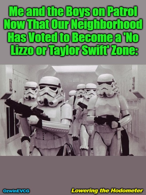 Lowering the Hodometer | Me and the Boys on Patrol 

Now That Our Neighborhood 

Has Voted to Become a 'No 

Lizzo or Taylor Swift' Zone:; OzwinEVCG; Lowering the Hodometer | image tagged in neighborhood watch,stormtroopers,lizzo,no filter,taylor swift,quality control | made w/ Imgflip meme maker