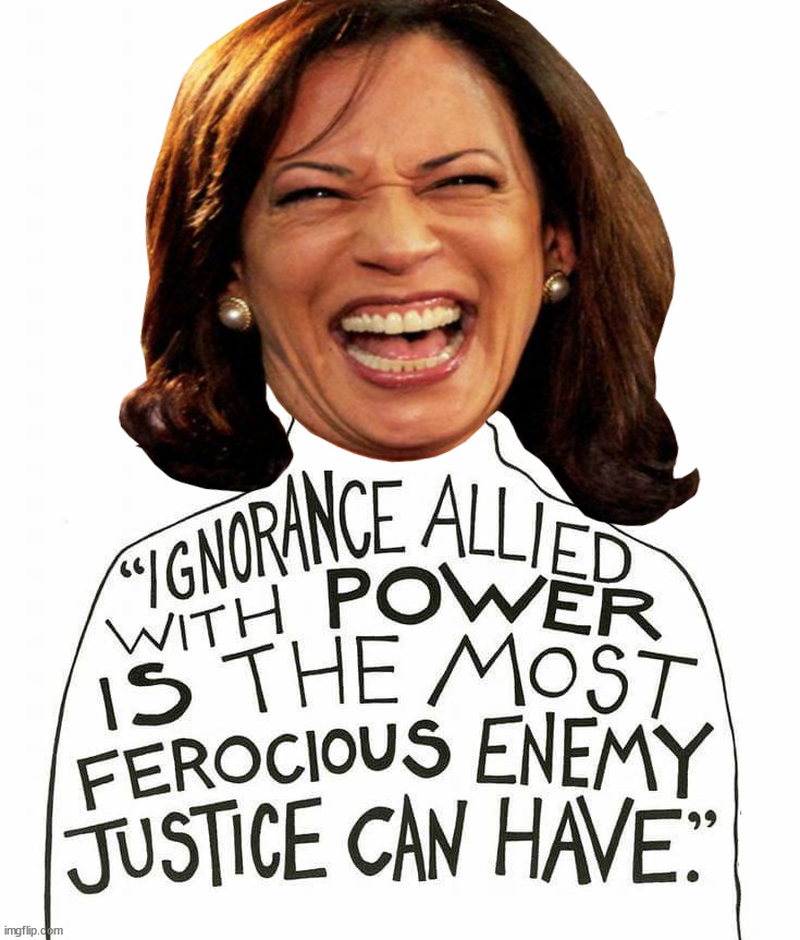 Her ignorance is the enemy of the working class | image tagged in politics,kamala harris,ignorance,power | made w/ Imgflip meme maker