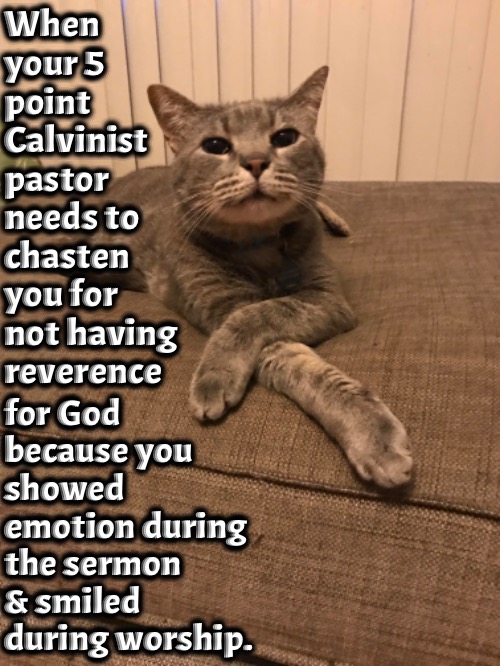 Chastened For Irreverence | When your 5 point Calvinist pastor needs to chasten you for not having reverence; for God because you showed emotion during the sermon & smiled during worship. | image tagged in calvinism,arminian,molinism,chastened,irreverent,legalism and emotions | made w/ Imgflip meme maker