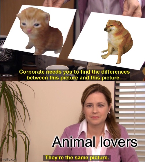 Animal lovers will know | Animal lovers | image tagged in memes,they're the same picture | made w/ Imgflip meme maker