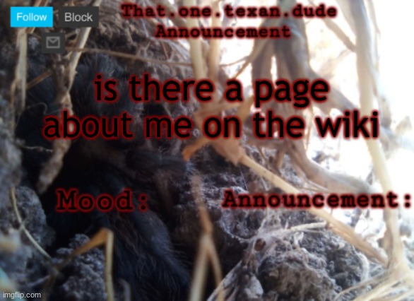 THE that.one.texan.dude announcement template | is there a page about me on the wiki | image tagged in the that one texan dude announcement template | made w/ Imgflip meme maker