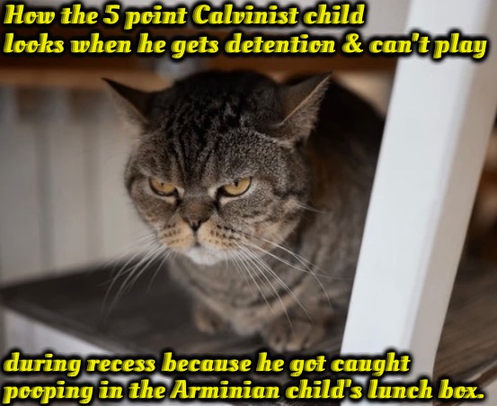 5 Point Detention | How the 5 point Calvinist child looks when he gets detention & can't play; during recess because he got caught pooping in the Arminian child's lunch box. | image tagged in calvinism,arminian,molinism,detention,pooping,angry | made w/ Imgflip meme maker