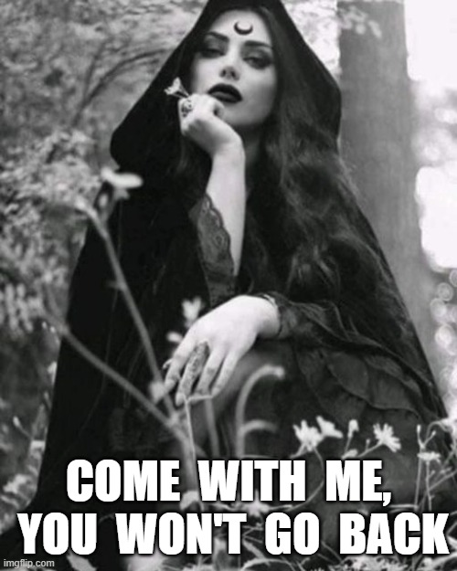 One Way | COME  WITH  ME,  YOU  WON'T  GO  BACK | image tagged in witches | made w/ Imgflip meme maker