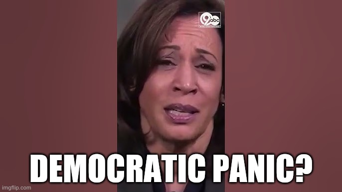 Don't They Call This... | DEMOCRATIC PANIC? | image tagged in memes,don't they,call,this,democratic party,panic | made w/ Imgflip meme maker