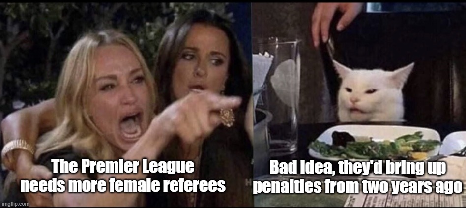 Premier League Female Referees | Bad idea, they'd bring up penalties from two years ago; The Premier League needs more female referees | image tagged in karen carpenter and smudge cat,premier league,smudge,referee,funny | made w/ Imgflip meme maker