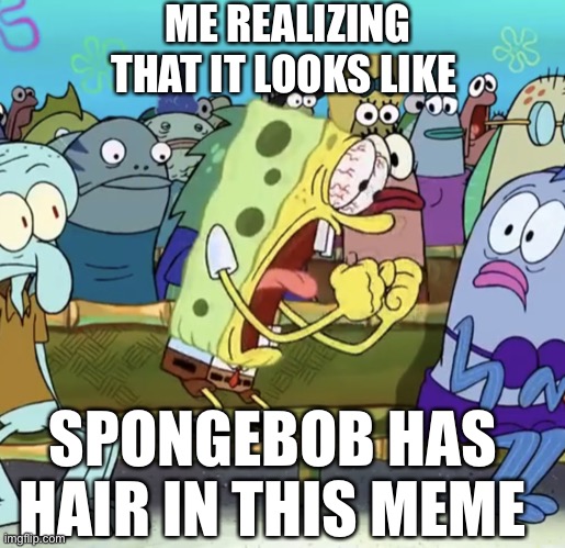 Spongebob Yelling | ME REALIZING THAT IT LOOKS LIKE; SPONGEBOB HAS HAIR IN THIS MEME | image tagged in spongebob yelling | made w/ Imgflip meme maker