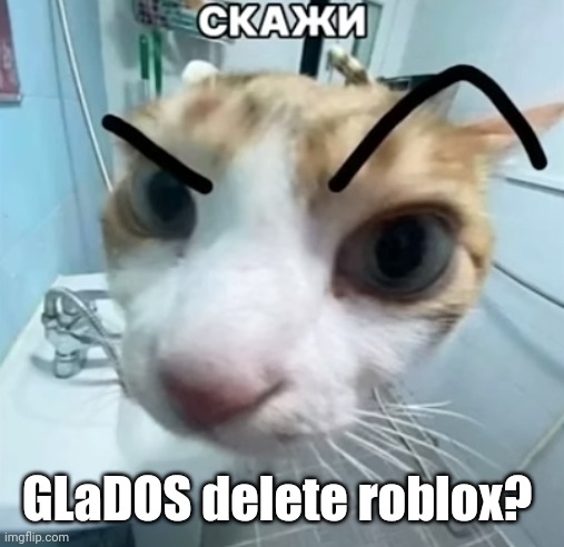 GLaDOS Delete Roblox? | GLaDOS delete roblox? | image tagged in say blank bottom text | made w/ Imgflip meme maker